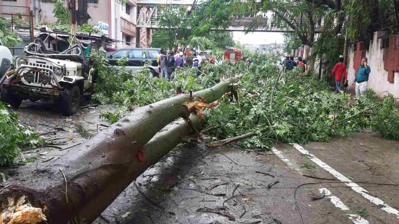 महापालिकेच्या परिसरातील पार्किंगमध्ये उभ्या असलेल्या 1 आटो रिक्षा आणि  मारुती 800 ,महिंद्रा एसयूव्ही,टाटा नॅनो, स्पार्क व तवेरा या गाड्यांचे नुकसान झाले आहे. मनपा मुख्यालय टप्पा क्र 3 येथील व मनपा पार्किंग येथील कँटीन बाजूला असलेले झाड सकाळी कोसळले.