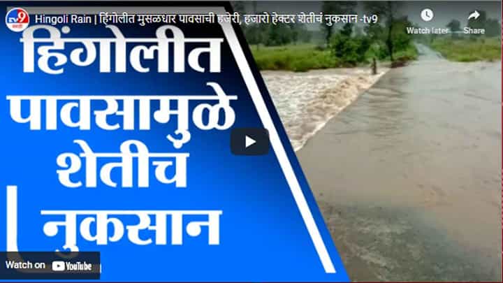 Hingoli Rain | हिंगोलीत मुसळधार पावसाची हजेरी, हजारो हेक्टर शेतीचं नुकसान Hingoli Rain | हिंगोलीत मुसळधार पावसाची हजेरी, हजारो हेक्टर शेतीचं नुकसान