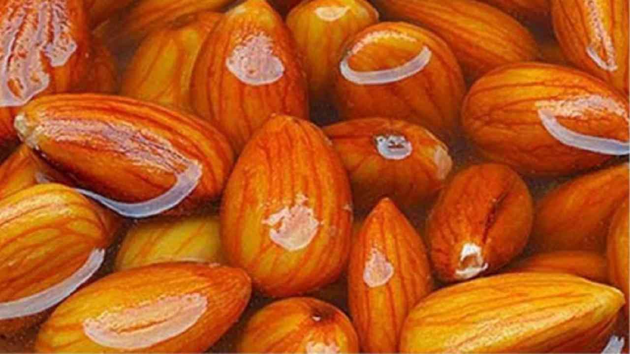 Benefits Of Almonds : भिजवलेले बदाम खाण्याचे आश्चर्यकारक फायदे वाचा! 