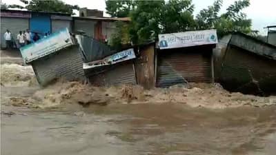 Marathwada Rain : मराठवाड्यात गुलाब चक्रीवादळाचा हाहाकार, 48 तासात 10 जणांचा मृत्यू , शेकडो जनावरं दगावली