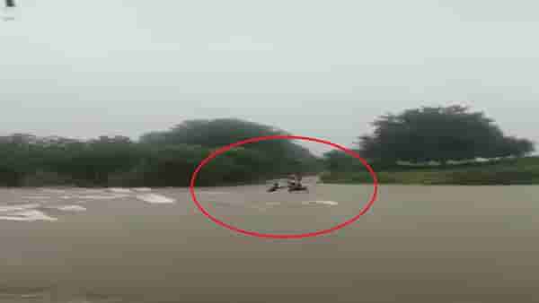 Aurangabad: पाहता पाहता दोघे वाहून गेले, नागझरी नदीच्या महापुरातून जात होते शेतकरी, गावात पोहोचलेच नाहीत