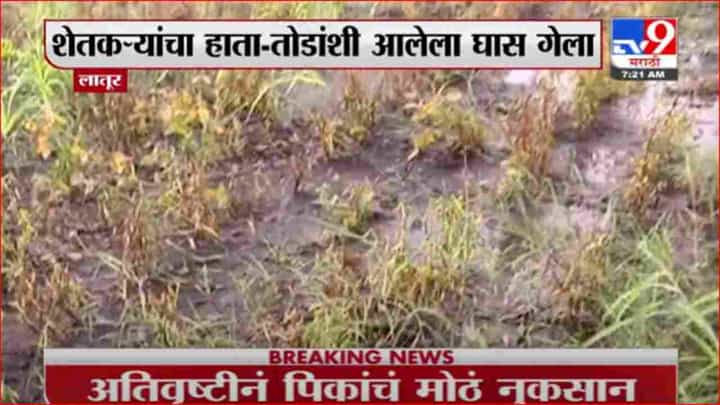 Latur | लातूरमध्ये अतिवृष्टीनं पिकांचं मोठं नुकसान Latur | लातूरमध्ये अतिवृष्टीनं पिकांचं मोठं नुकसान