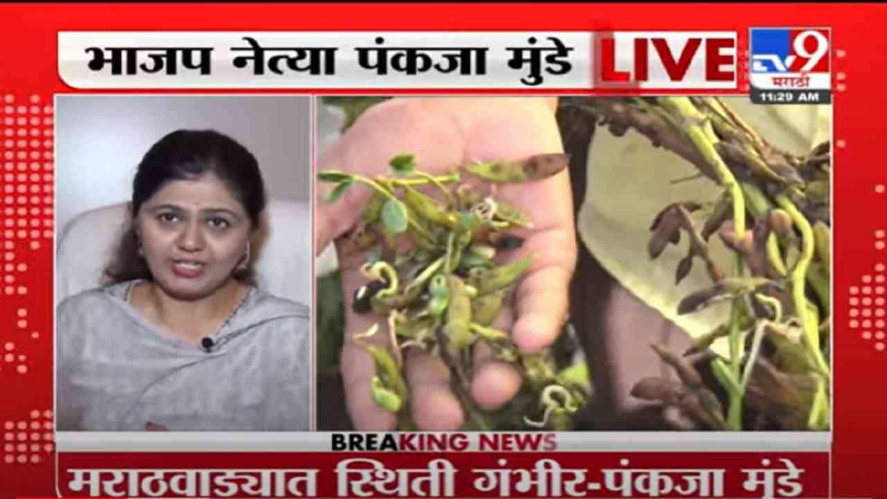 VIDEO : Pankaja Munde | मराठवाड्यात गंभीर स्थिती, सरकारनं लोकांना तात्काळ मदत करावी : पंकजा मुंडे