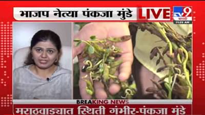 VIDEO : Pankaja Munde | मराठवाड्यात गंभीर स्थिती, सरकारनं लोकांना तात्काळ मदत करावी : पंकजा मुंडे