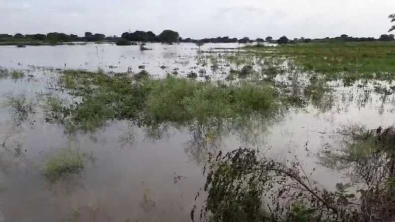 उस्मानाबाद : पुनर्वसनाची मागणी करीत इर्ला ग्रामस्थांनी अडविले पालकमंत्र्यांना उस्मानाबाद : पुनर्वसनाची मागणी करीत इर्ला ग्रामस्थांनी अडविले पालकमंत्र्यांना