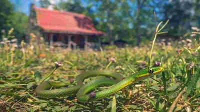 Bad Vastu Omens : वास्तूच्या या लक्षणांवरुन जाणून घ्या घरातील शुभ आणि अशुभ