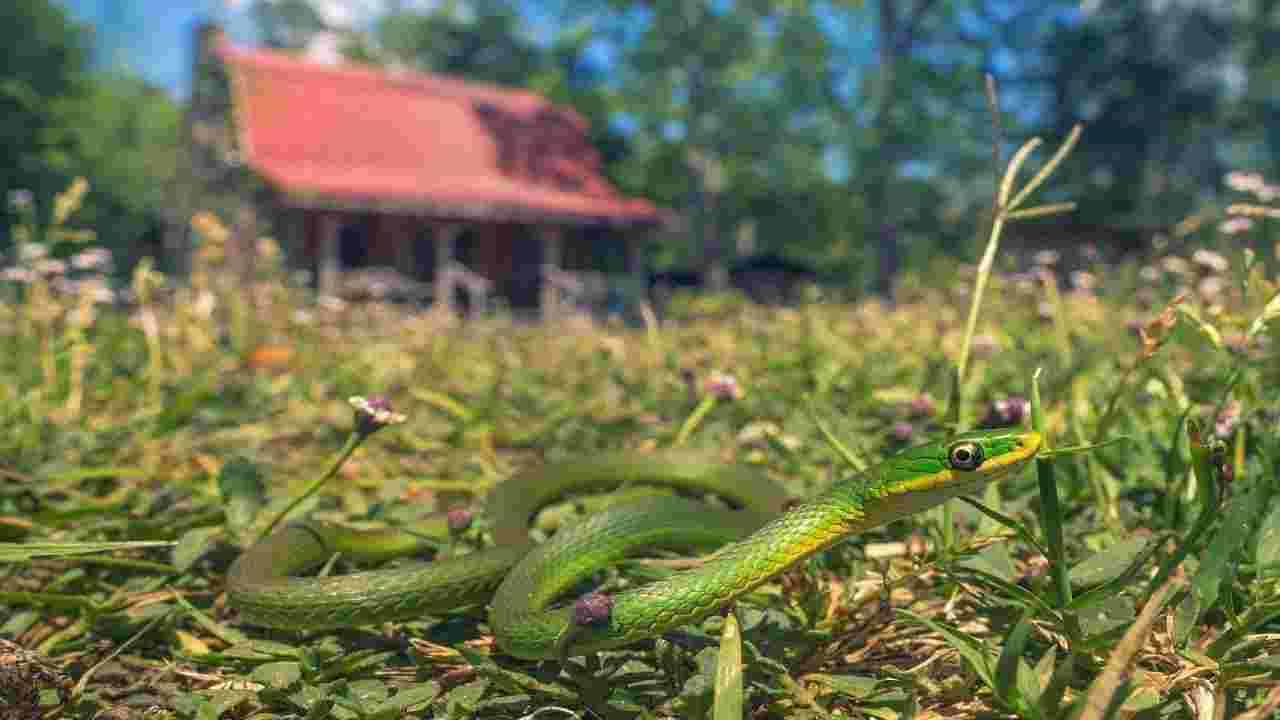 Bad Vastu Omens : वास्तूच्या या लक्षणांवरुन जाणून घ्या घरातील शुभ आणि अशुभ
