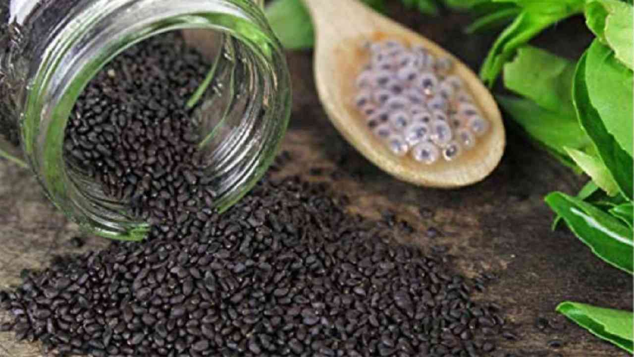 Sabja Seeds : झटपट वजन कमी करण्यासाठी आहारात सब्जाचा समावेश करा!