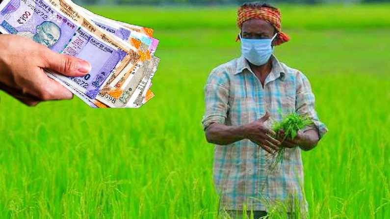 PM KISAN YOJNA : 7 लाख 24,000 शेतकऱ्यांनी अर्ज करुनही का मिळाले नाहीत पैसे ? जाणून घ्या