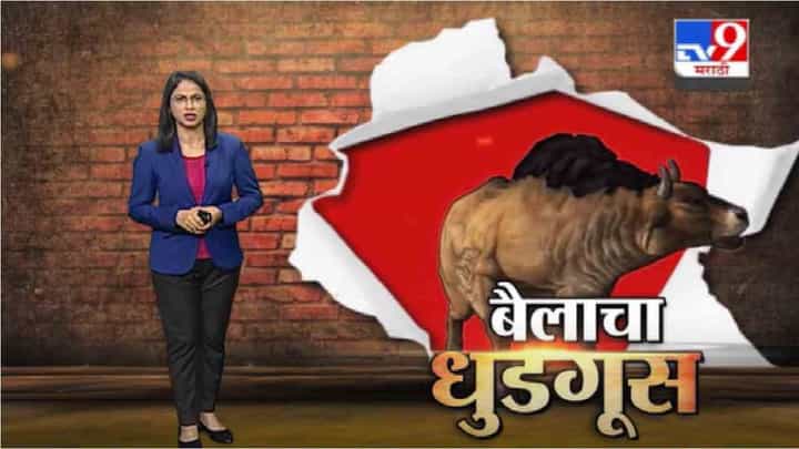 Special Report | मोबाईलच्या दुकानात बैलाचा धुडगूस Special Report | मोबाईलच्या दुकानात बैलाचा धुडगूस