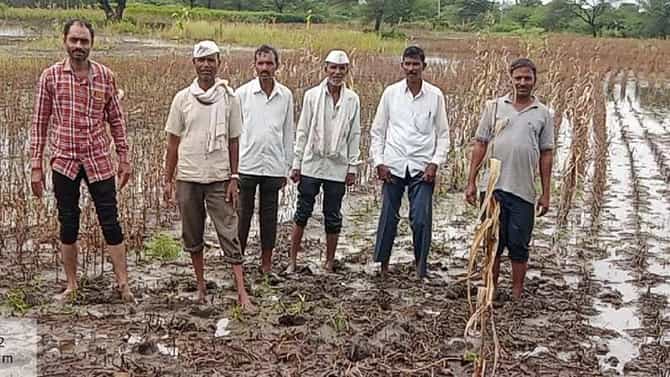 पिकाचं नुकसान झालयं, मग अशी करा पिक पंचनाम्याची प्रक्रिया ; प्रत्येक शेतकऱ्यासाठी महत्वाची बातमी