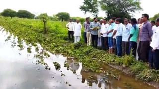 कृषीमंत्र्यांकडून तातडीने पंचनाम्याचे आदेश; ताडतोब धोरण ठरवणार, सकारात्मक निर्णयाचे आश्वासन