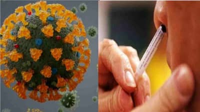 कोरोना रुग्णांवर होणार नाकाद्वारे उपचार, नागपुरात चाचणी सुरु, उपचार पद्धती  गेम चेंजर ठऱणार ?