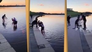 Video: ऑस्ट्रेलियात थंड पाण्यात फसलेल्या कांगारुची 2 व्यक्तींकडून सुटका, सुटकेचा व्हिडीओ इंटरनेटवर व्हायरल