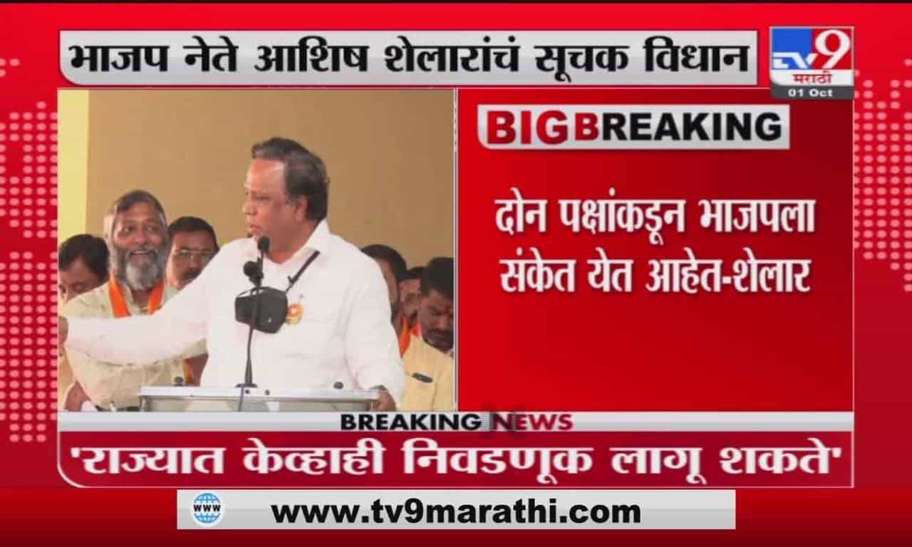 Ashish Shelar | दोन पक्षांकडून भाजपला संकेत येत आहे, आशिष शेलारांचे सूचक विधान