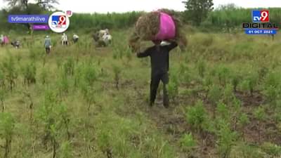 मराठवाड्याला निकषांपेक्षा अधिकची नुकसानभरपाई, पहा तुमच्या जिल्ह्याला कितीची मदत?