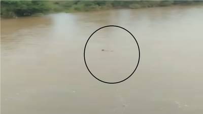 कयादू नदीला पूर, पात्रात तरुण वाहून जाताना आढळला, बाहेर काढण्याचे हिंगोली पोलिसांकडून प्रयत्न