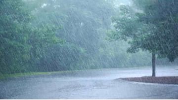 विदर्भात यंदा पावसाची तुफान बॅटिंग, 103 टक्के पाऊस, हवामान विभागानं नेमकं काय सांगितलं?