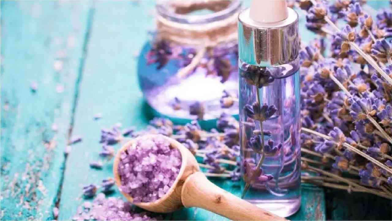 Lavender Oil : निरोगी त्वचा आणि केसांसाठी लॅव्हेंडर तेल फायदेशीर! 