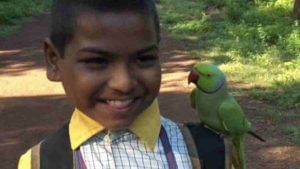 पोपटाची विद्यार्थ्यांसोबत मैत्री, जवळ जाताच अंगाखांद्यावर खेळतो, अनोख्या दोस्तीची सोशल मीडियावर चर्चा