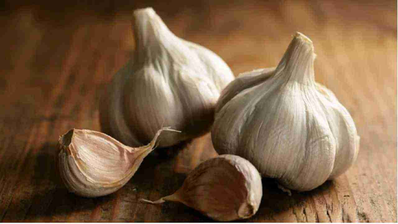 Garlic Benefits : लसणाचे हे खास 4 फायदे जाणून घ्या, वाचा याबद्दल सविस्तर!