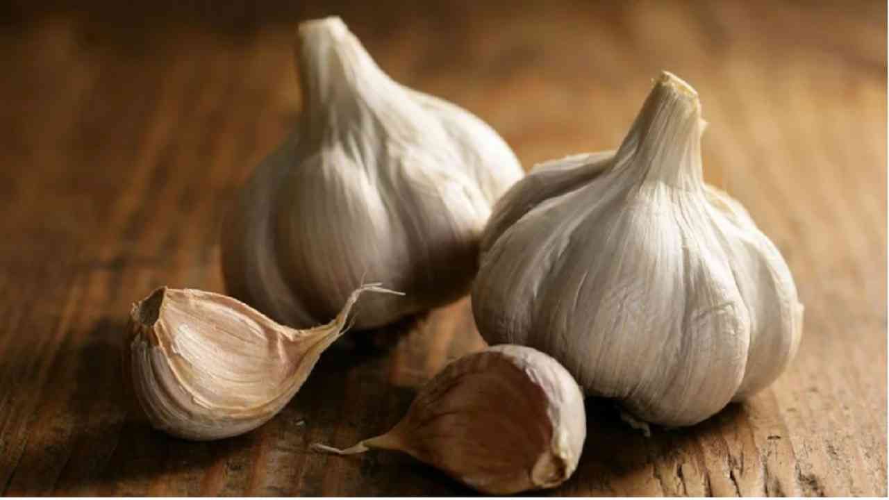 Garlic Benefits : लसणाचे 'हे' खास 4 फायदे जाणून घ्या, वाचा याबद्दल सविस्तर!