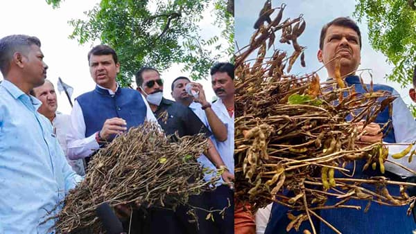 Photo Story: काहीच राहिलं नाही... पाणीच पाणी आहे...; देवेंद्र फडणवीसांची अतिवृष्टीग्रस्त भागांची पाहणी