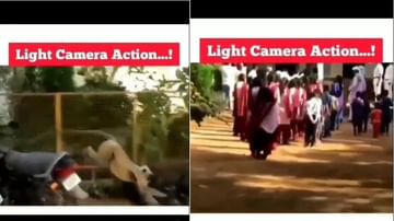 Video | शाळेत मुलगी रांगेत उभी, माकडाने दिला अचाकनपणे धक्का, पुढे काय झालं ? एकदा बघाच
