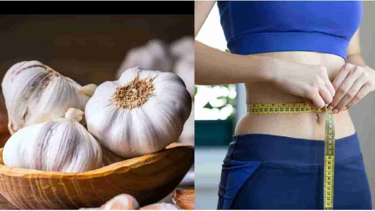 Weight loss : पोटावरची चरबी कमी करण्यासाठी दररोज सकाळी रिकाम्या पोटी लसूण खा, जाणून घ्या अनेक फायदे