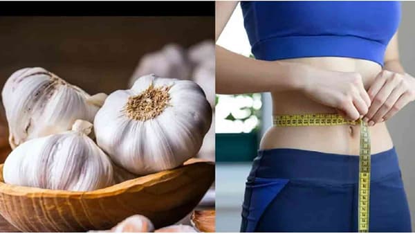 Weight loss : पोटावरची चरबी कमी करण्यासाठी दररोज सकाळी रिकाम्या पोटी लसूण खा, जाणून घ्या अनेक फायदे