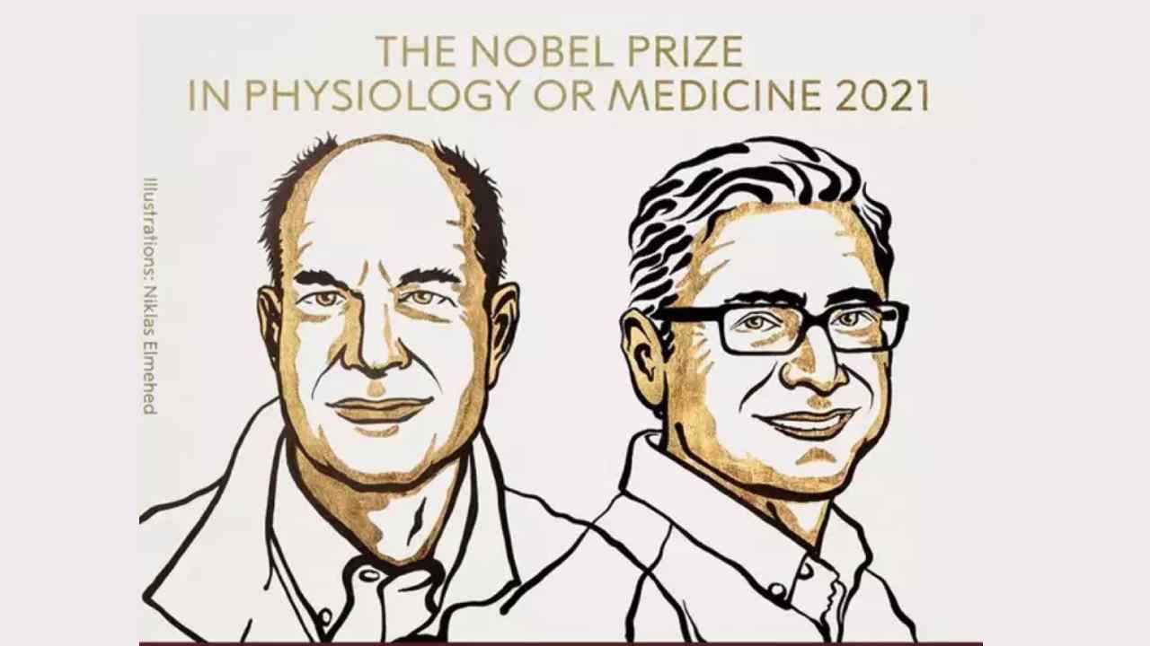 Nobel Prize 2021 Announcement Of Nobel Prizes In Medicine Nobel Prize To David Julius Ardem Patapautian The 2021 Nobel Prize In Medicine Has Been Awarded To David Julius And Ardem Patapoutian Reading Sexy