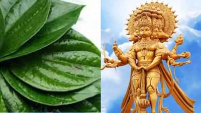 Tuesday Worship Tips : मंगळवारी हनुमानजींना विड्याचे पान अर्पण करा, बजरंगबली लवकर प्रसन्न होतील