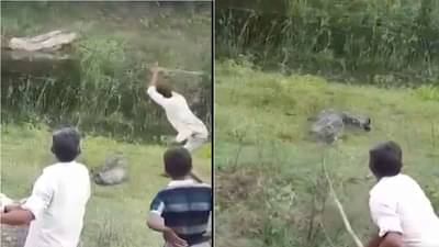 शेतात घुसलेल्या अजगरावर कुऱ्हाडीचे वार, तडफड पाहूनही गावकऱ्यांना पाझर फुटला नाही