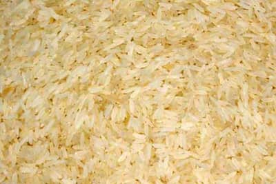 पालघर शेतकऱ्यांसाठी आनंदवार्ता : वाडा कोलम तांदळाला भौगोलिक मानांकन, जागतिक बाजारपेठेतही मागणी