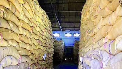 विदर्भातील महामंडळाच्या गोदामात 24 लाख क्विंटल धान्य पडून, राज्य-केंद्राच्या वादात धान्याचे नुकसान