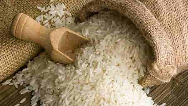शेतकऱ्यांसाठी आनंदवार्ता : बासमतीच्या दरात वाढ, शेतकऱ्यांना भरघोस उत्पन्नाची आशा