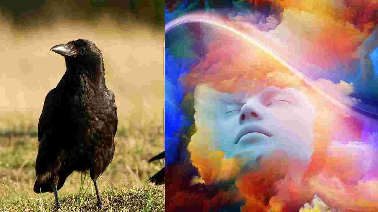 Indication of crow dreams : स्वप्नात कावळा दिसला तर कोणते संकेत मिळतात? Indication of crow dreams : स्वप्नात कावळा दिसला तर कोणते संकेत मिळतात?