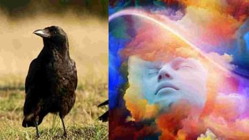 Indication of crow dreams : स्वप्नात कावळा दिसला तर कोणते संकेत मिळतात?