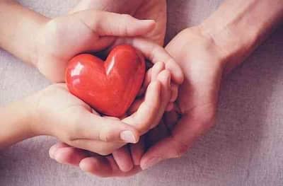 Healthy Heart | हृदयाची निगा राखायचीय?, मग या 5 औषधी वनस्पतींचा वापर कराच!