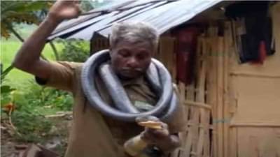 Video | 14 फुटाच्या सापासोबत खेळ, गळ्यात घालून गावभर फिरणं महागात, क्षणात जीव गेला, नेमकं काय घडलं ?