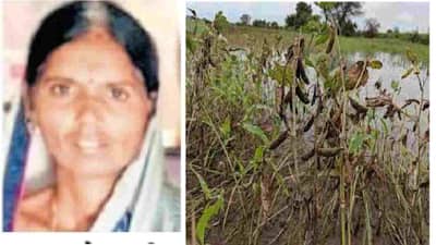 धक्कादायक! आता शेतकऱ्यांच्या गृहलक्ष्मीचीही आत्महत्या, मराठवाडा- विदर्भात शेतकरी महिला आत्महत्या कशा थांबणार?