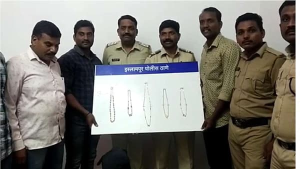 सांगलीत अनोखी चोरी, सोनसाखळीसोबत शेळ्या-बोकडही चोरले, तरुणाला बेड्या