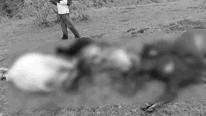 कधी थांबणार विजांचा थयथयाट? औरंगाबादेत 15 जनावरं दगावली, आकाशात गडगडाट अन् गावात भयाण शांतता