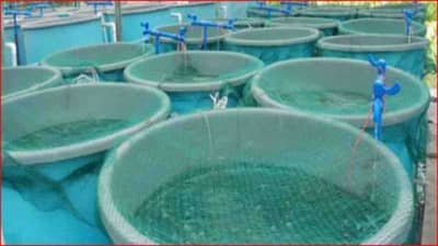 नोकरीची चिंता सोडा आणि हा व्यवसाय सुरु करा; सरकारकडून अनुदान, महिन्याला दोन लाखांचे उत्पन्न