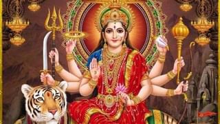 Shardiya Navratri 2021 : सौभाग्य आणि समृद्धीसाठी या नवरात्रीत घरी आणा ही 4 झाडं…