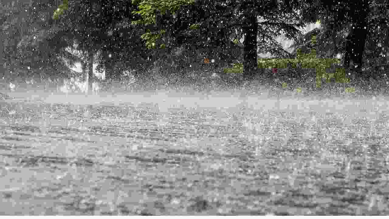 Weather Update | पुण्यात पुढील काही दिवस पावसाची शक्यता, मुंबईसह 16 जिल्ह्यांना येलो अलर्ट