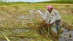 पूल, रस्ते गेले, 36 लाख हेक्टरवरील पीक पाण्यात, मराठवाड्यात तब्बल 4 हजार कोटींचं नुकसान