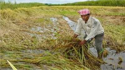 पूल, रस्ते गेले, 36 लाख हेक्टरवरील पीक पाण्यात, मराठवाड्यात तब्बल 4 हजार कोटींचं नुकसान