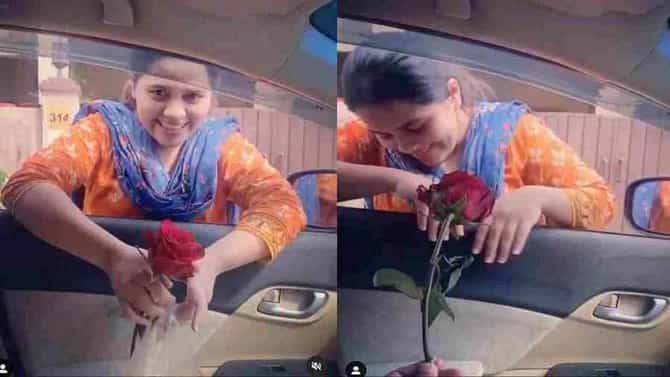 पतीने दिले गुलाबाचे फूल, पत्नी लाजत म्हणाली - प्यार का नशा चढ़ा हुआ है, पाहा भन्नाट व्हायरल व्हिडीओ