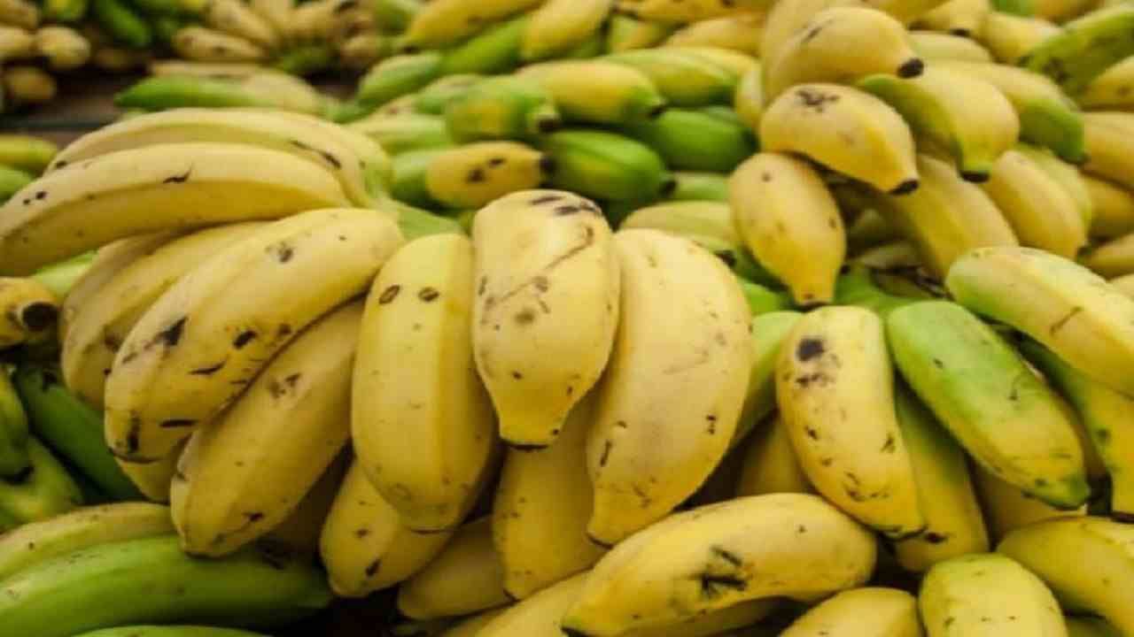 काहीच्या काही ! 70 किलोचे केळं जेव्हा मालकालाच 4 कोटीला पडतात, पण मग असं काय घडलं?